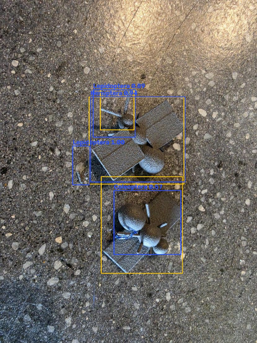 Source-recorded blue and amber bounding boxes around two 3D printed toy insects